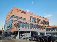 "둔기로 폭행당한 진돗개 안와골절"…경찰, 동물학대 혐의 수사
