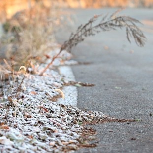 Comienza el invierno